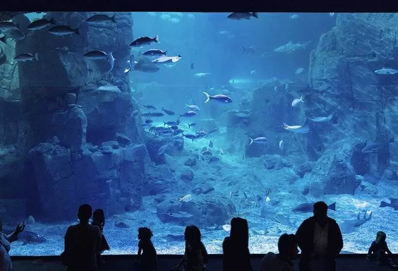 Otel Crowne Plaza Florya Istanbul, An Ihg