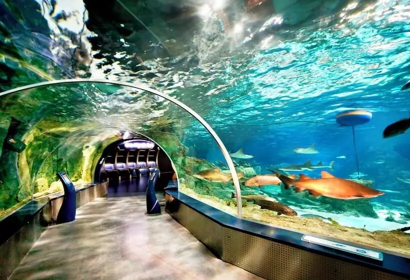 Otel Crowne Plaza Florya Istanbul, An Ihg