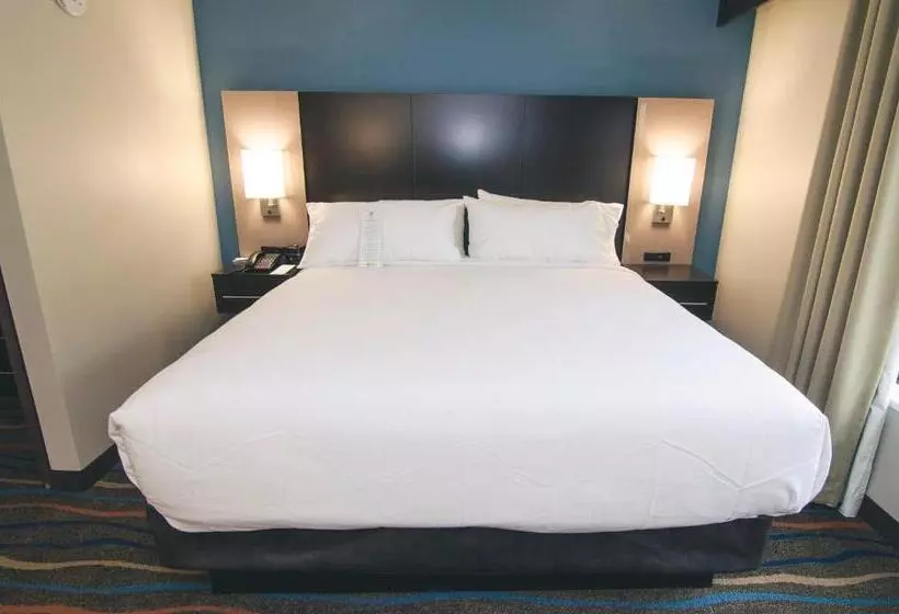 Holiday Inn Hotel & Suites Chattanooga, An Ihg