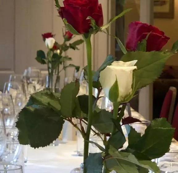 Отель The Border