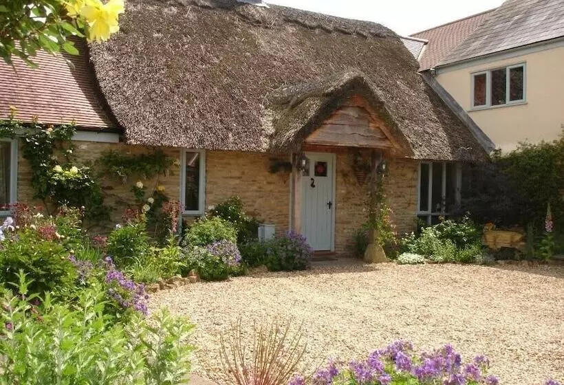 بنسيون Munden House