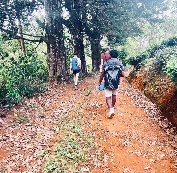 Gregory House Hostel