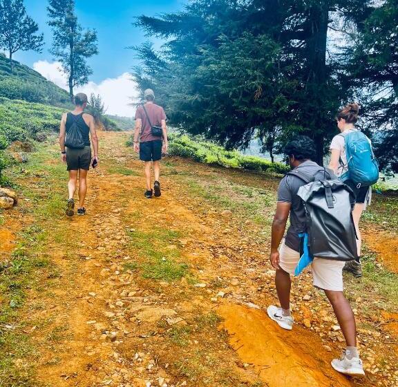 Gregory House Hostel