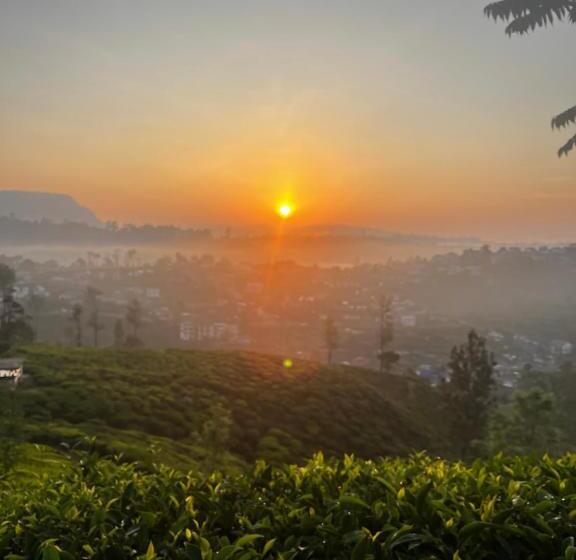 Gregory House Hostel