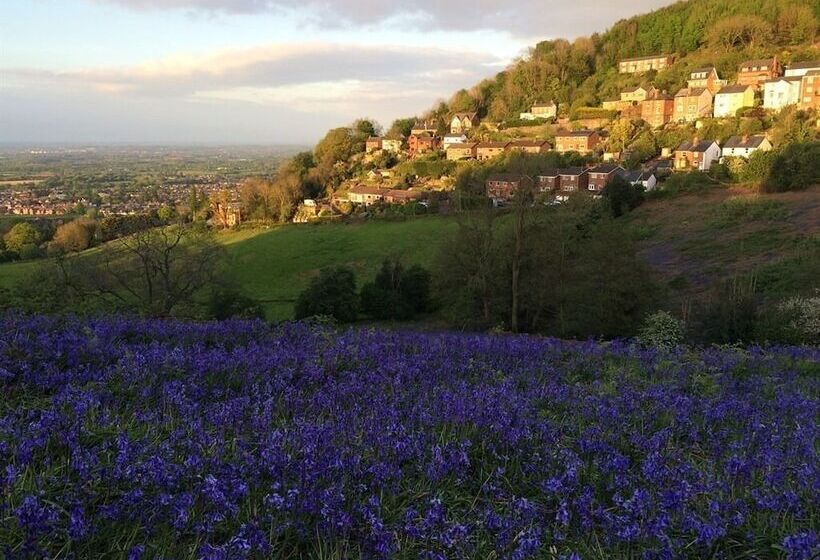 Ashbury Bed & Breakfast