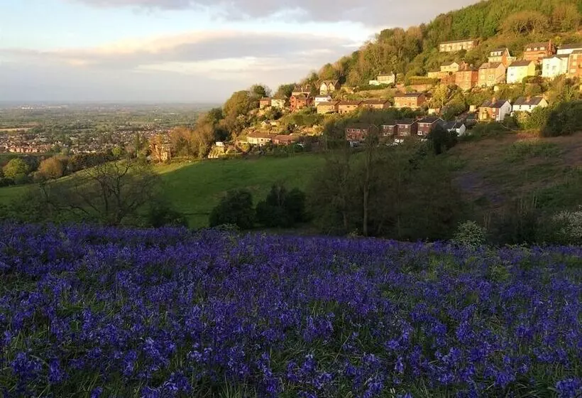 Ashbury Bed & Breakfast