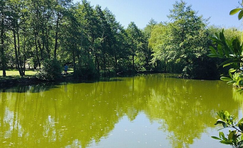 צימר Bartles Lodge