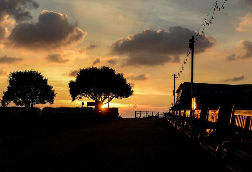 مبيت وإفطار Bassets House