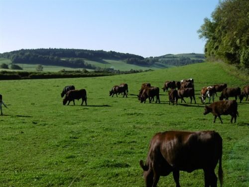 مبيت وإفطار Charlton Twentyeight