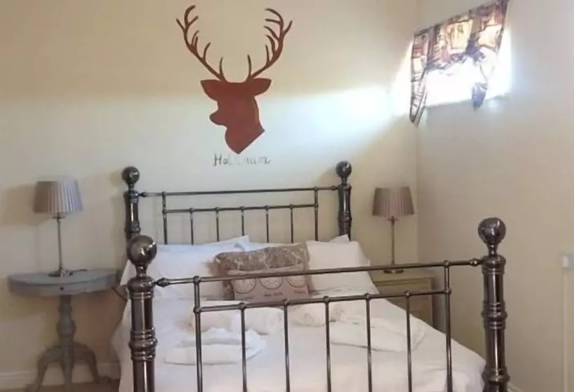 צימר Hooray Henrys