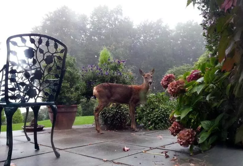 تختخواب و صبحانه Spinneycross