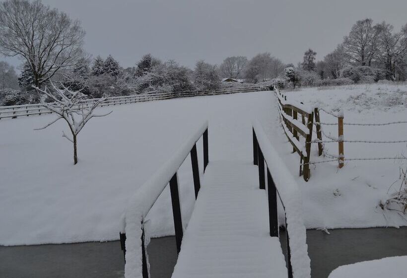 ベッドアンドブレックファースト Wortwell Hall Barn