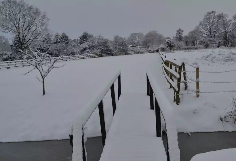 Bed and Breakfast Wortwell Hall Barn