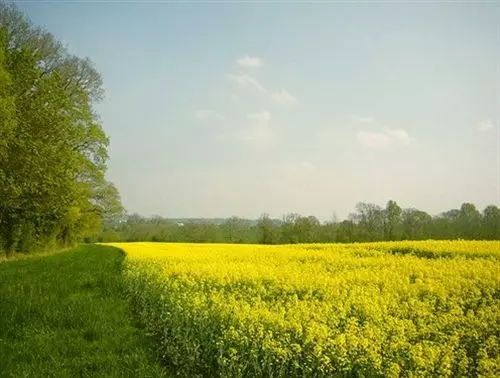 Dilton Court Farm B&b