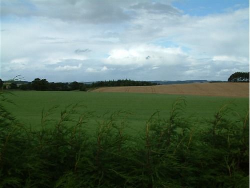 Отель Travellers Rest