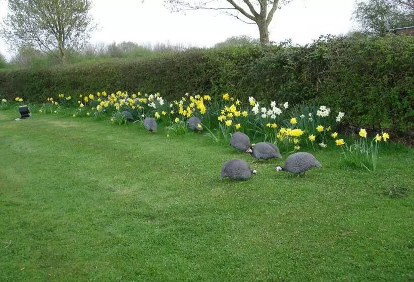 Pensionat Pointers Guest House