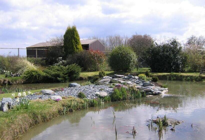 Pansiyon Pointers Guest House