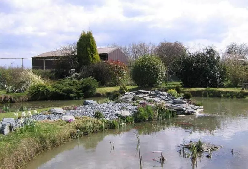 Pensionat Pointers Guest House