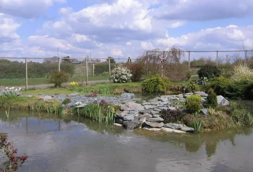 Pensionat Pointers Guest House