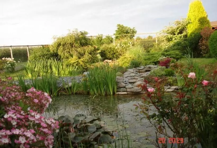 Pensionat Pointers Guest House