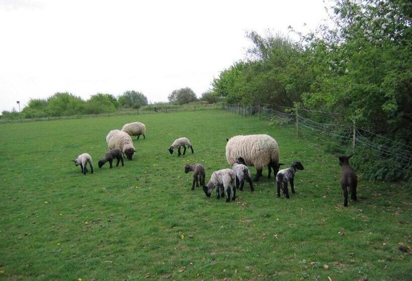 Pansiyon Pointers Guest House