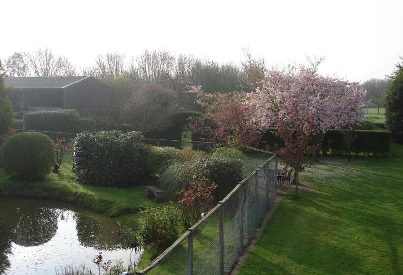 Pansiyon Pointers Guest House