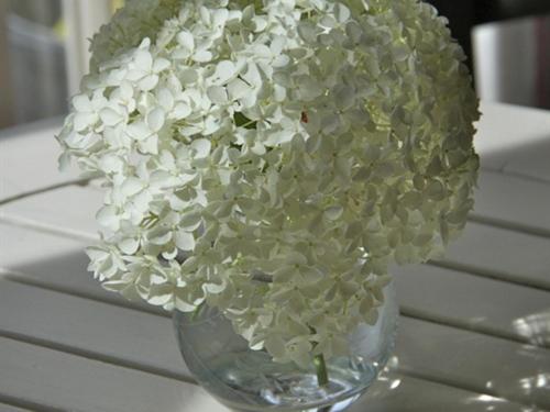 ペンション Rectory Farm Annexe