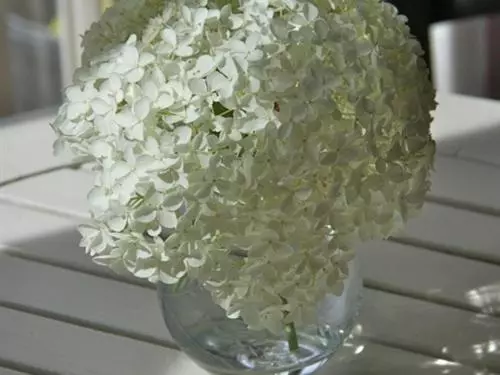 ペンション Rectory Farm Annexe