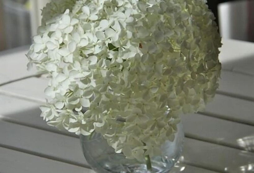 ペンション Rectory Farm Annexe