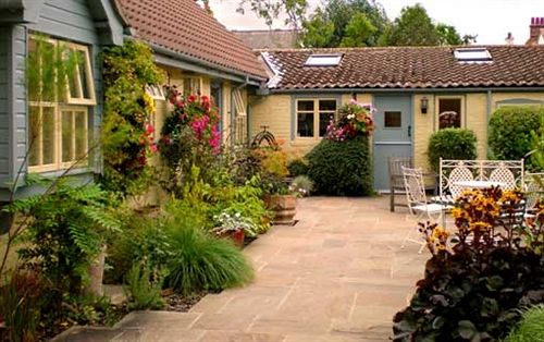 بنسيون The Willow Guest House