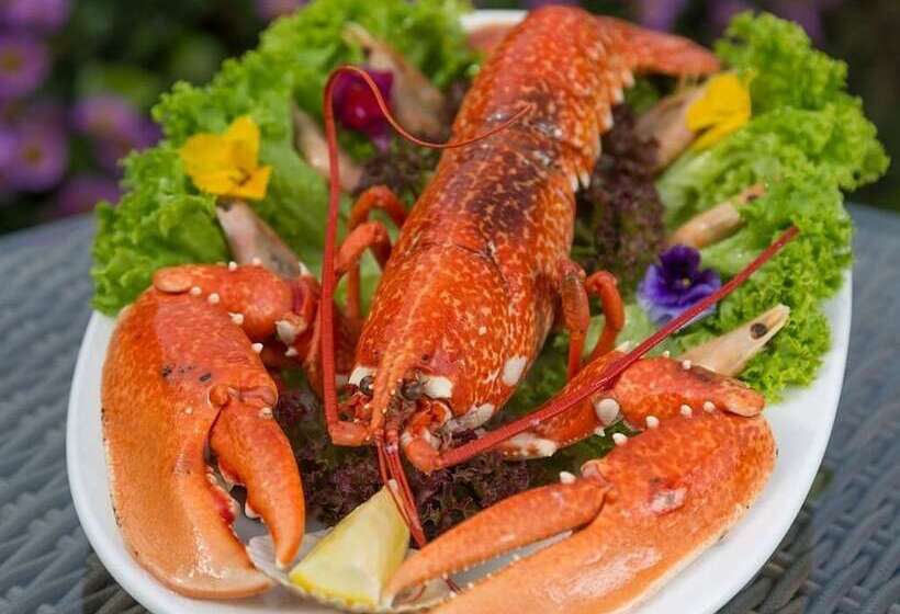 مبيت وإفطار Clos De Vaul Creux