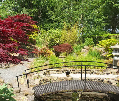 مبيت وإفطار Viewmount House