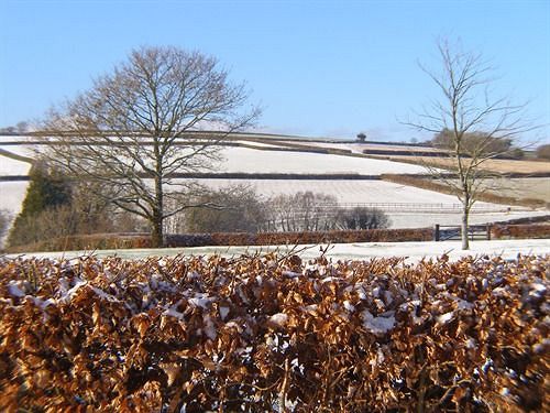 צימר Cadson Manor