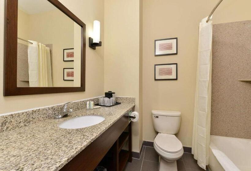 فندق Comfort Inn & Suites Manheim   Lebanon