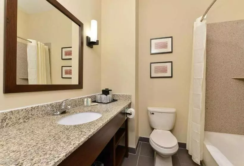 Отель Comfort Inn & Suites Manheim Lebanon