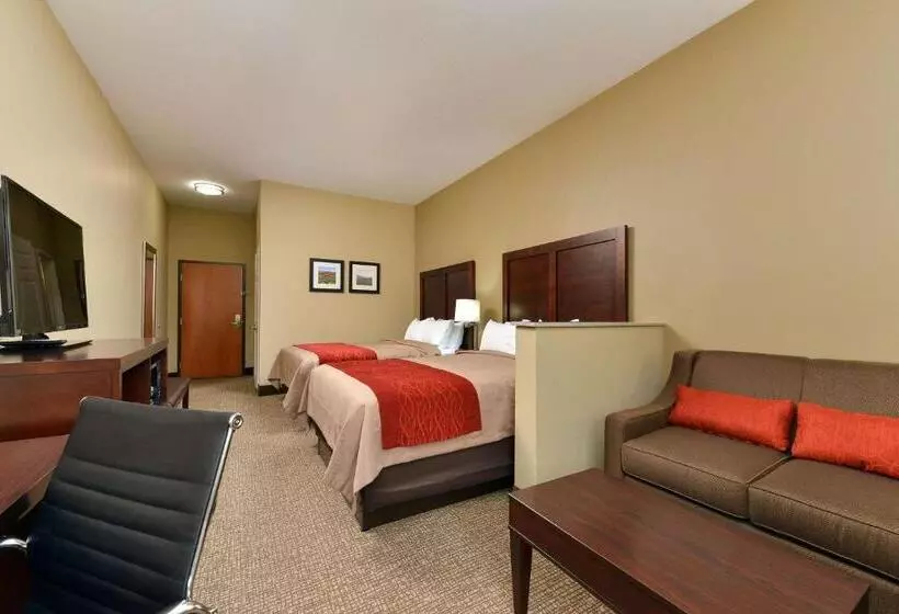 Отель Comfort Inn & Suites Manheim Lebanon