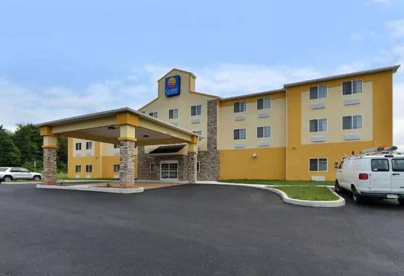 Отель Comfort Inn & Suites Manheim Lebanon