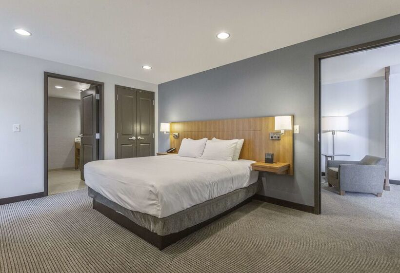 酒店 Doubletree By Hilton Asheville Downtown