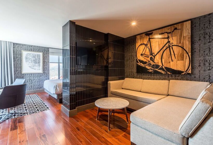 酒店 Doubletree By Hilton Asheville Downtown