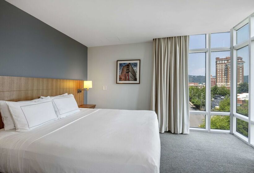 酒店 Doubletree By Hilton Asheville Downtown