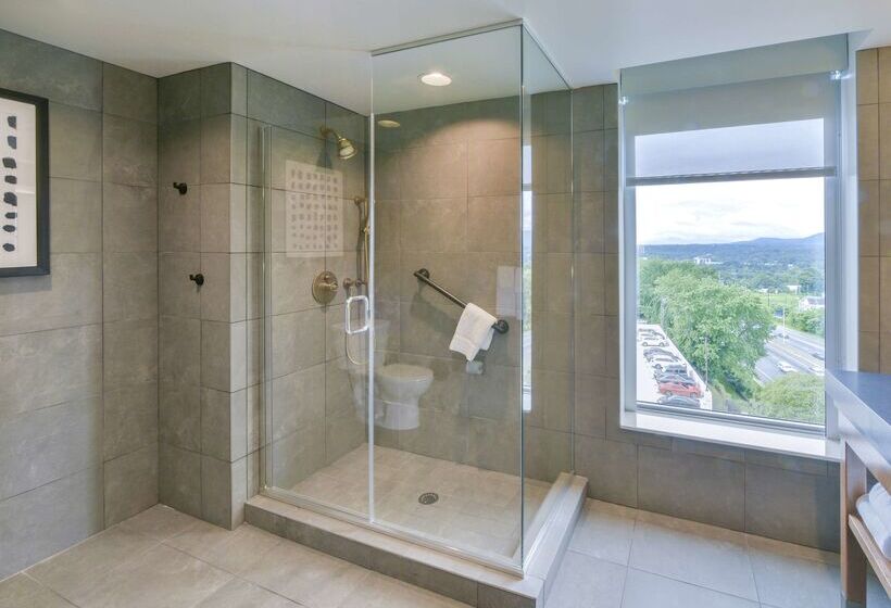 酒店 Doubletree By Hilton Asheville Downtown