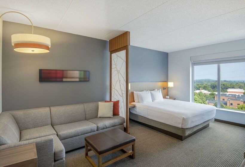 酒店 Doubletree By Hilton Asheville Downtown