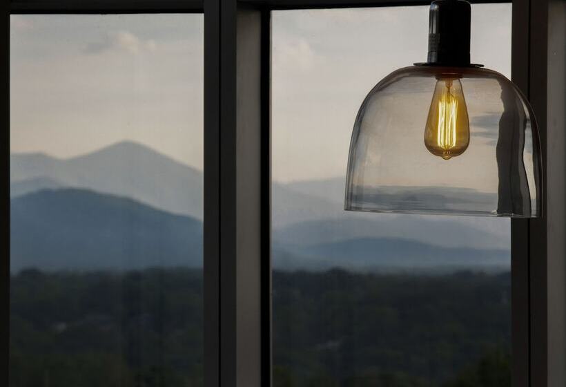 酒店 Doubletree By Hilton Asheville Downtown