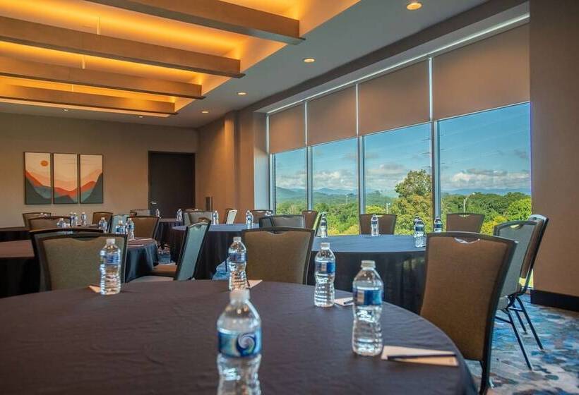 酒店 Doubletree By Hilton Asheville Downtown