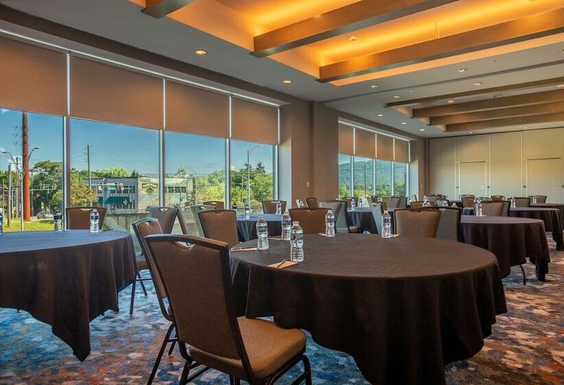 酒店 Doubletree By Hilton Asheville Downtown