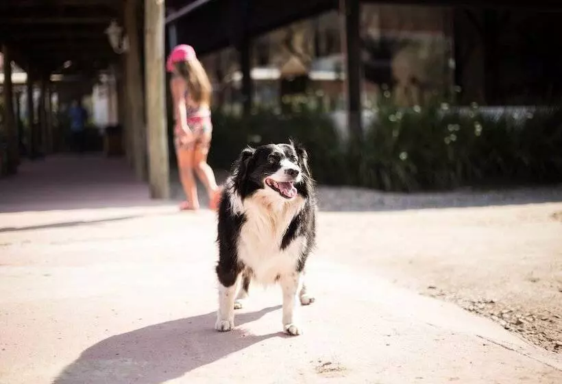 هتل Fazenda Dona Francisca