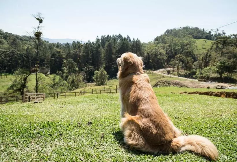 هتل Fazenda Dona Francisca