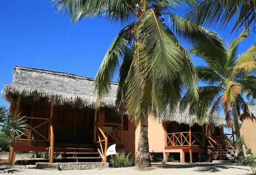 هتل Hôtel Palissandre Morondava