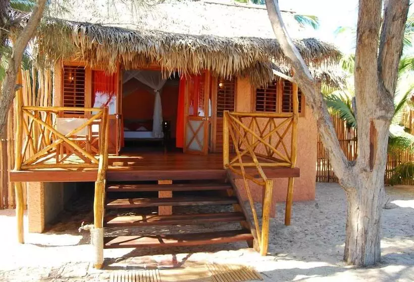 هتل Hôtel Palissandre Morondava