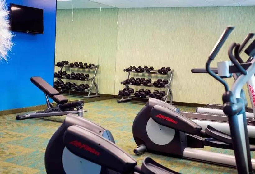 בית מלון כפרי Springhill Suites By Marriott Wisconsin Dells